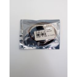 LED Post Light, 12V, White