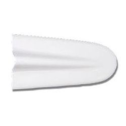Tip, Dorsal Fin