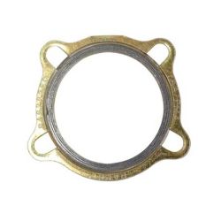 Gasket (Blo-Proof)
