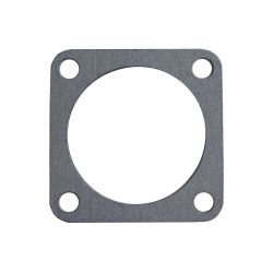 Gasket (Carburetor)