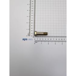 Bolt /1