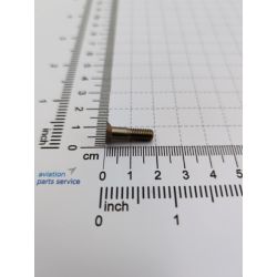 Screw /100