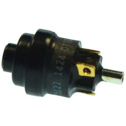Switch, Microphone