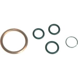 Seal Kit, Oil Drain Valve