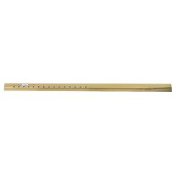 Seat Rail (Inboard RH)