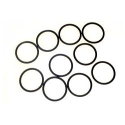 O-Ring/10