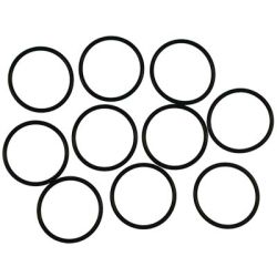 O-Ring/10