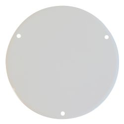 Inspection Plate, Top Coat