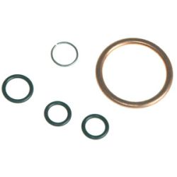 Seal Kit, Oil Drain Valve