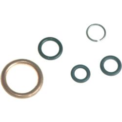 Seal Kit, Oil Drain Valve